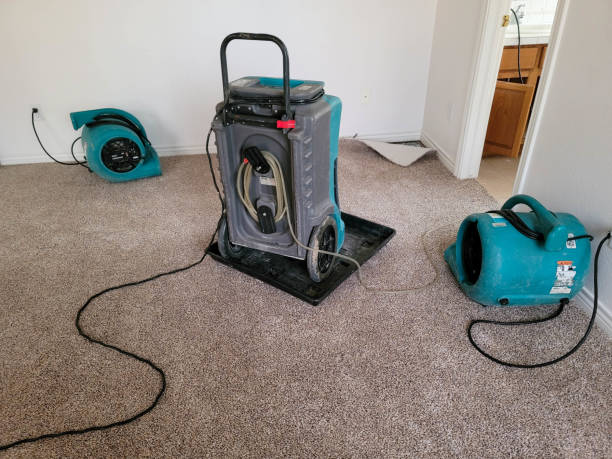 Best 24/7 water damage repair  in Great Falls Crossing, VA