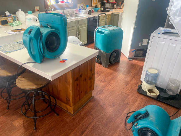 Best Mold removal after water damage  in Great Falls Crossing, VA