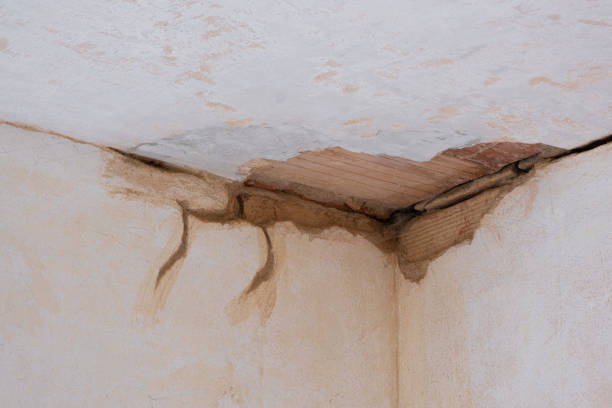 Best Local water damage restoration  in Great Falls Crossing, VA
