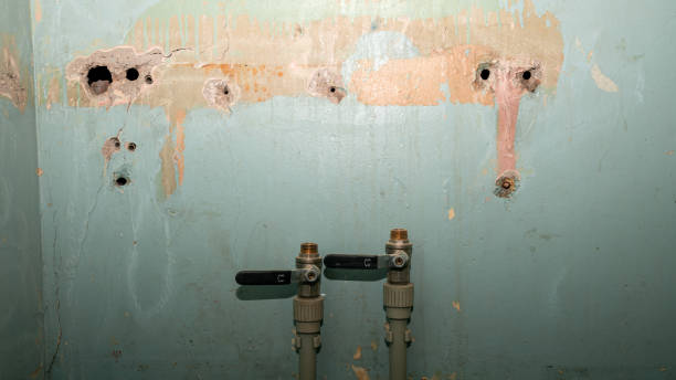 Best Mold removal after water damage  in Great Falls Crossing, VA